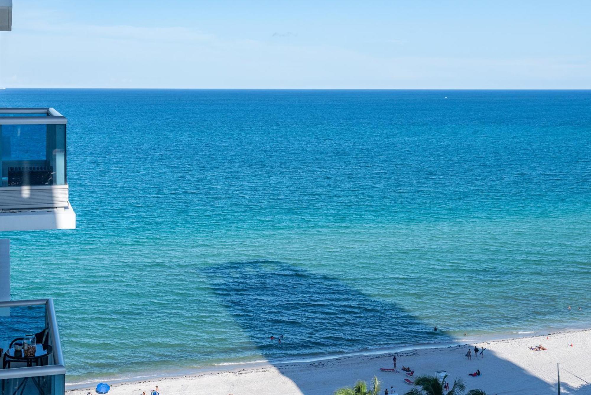 Bluebird Suites Monte Carlo Miami Beach Habitación foto